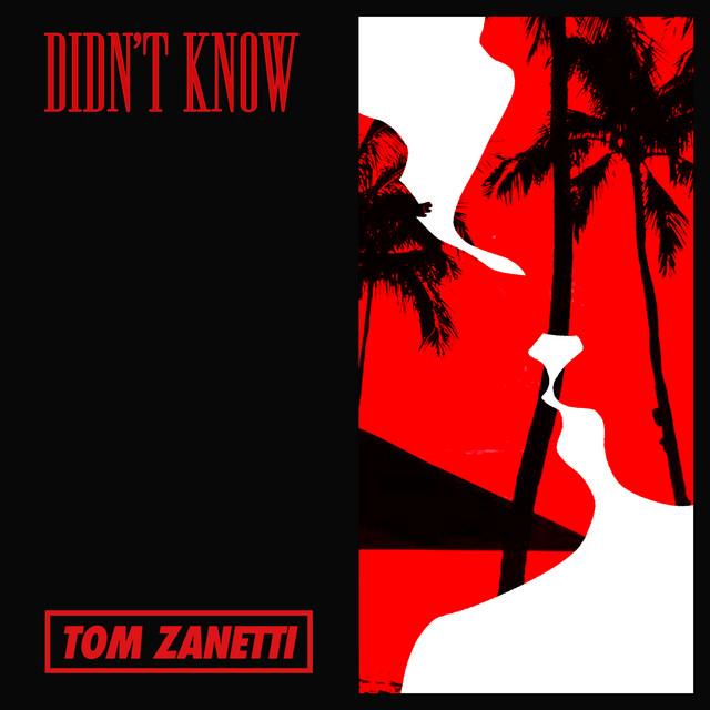 Tom Zanetti — Didn&#039;t Know cover artwork