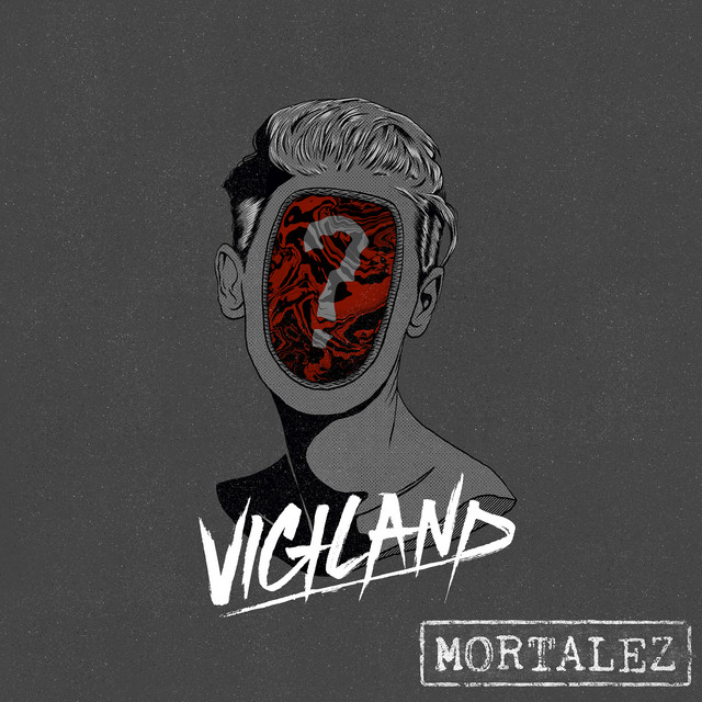 Vigiland What&#039;s Goin&#039; On cover artwork