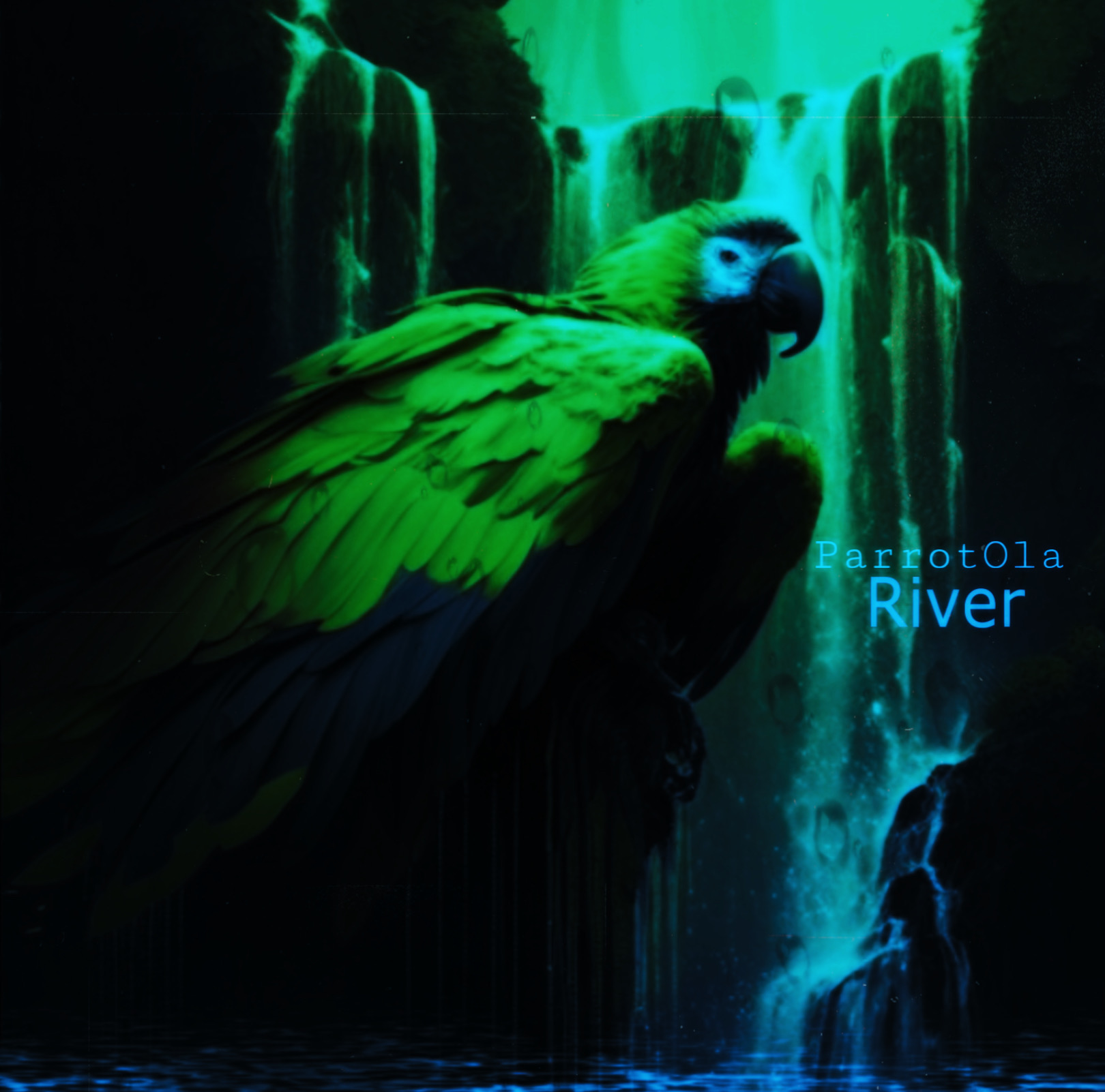 ParrotOla — River. cover artwork
