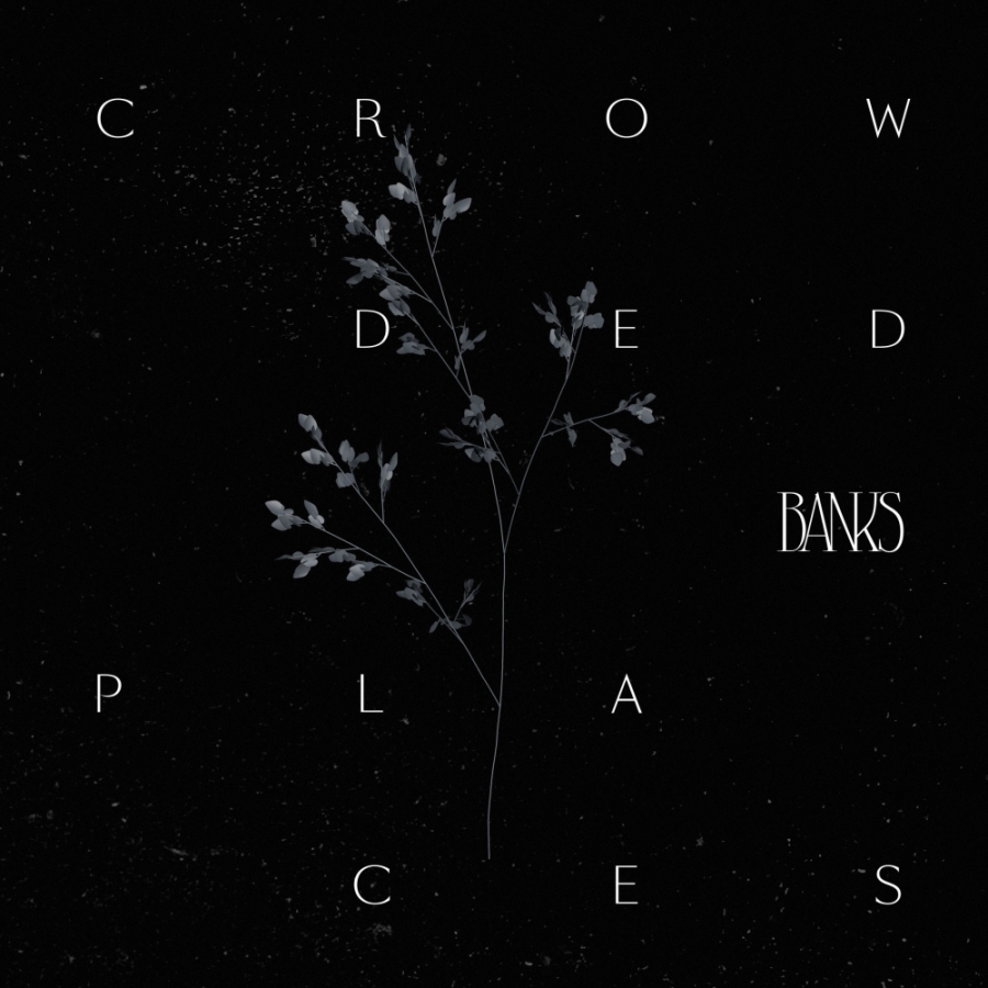 BANKS Crowded Places cover artwork