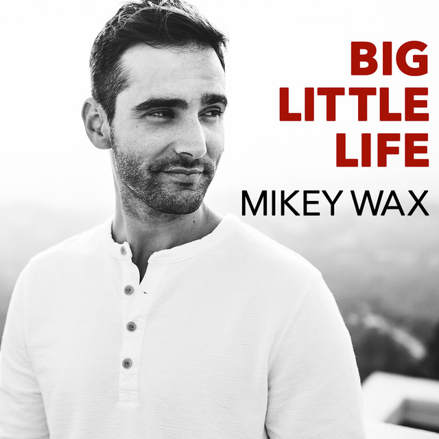 Mikey Wax Big Little Life cover artwork