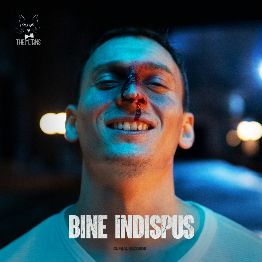 The Motans — Bine Indispus cover artwork