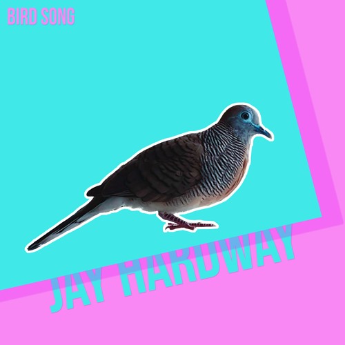 Jay Hardway Bird Song cover artwork