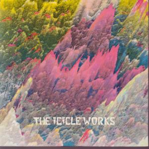The Icicle Works — Whisper To A Scream (Birds Fly) cover artwork