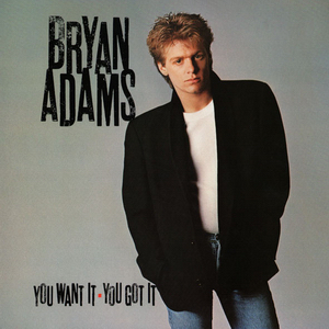 Bryan Adams You Want It You Got It cover artwork