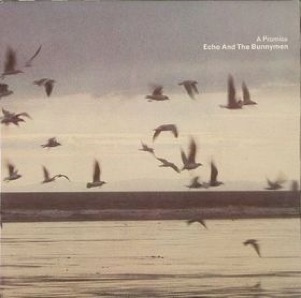 Echo &amp; the Bunnymen — A Promise cover artwork