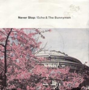 Echo &amp; the Bunnymen — Never Stop cover artwork