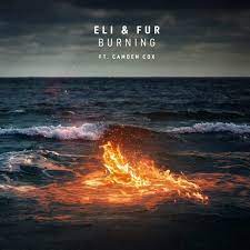 Eli &amp; Fur featuring Camden Cox — Burning cover artwork