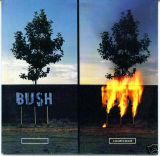 Bush — Swallowed cover artwork