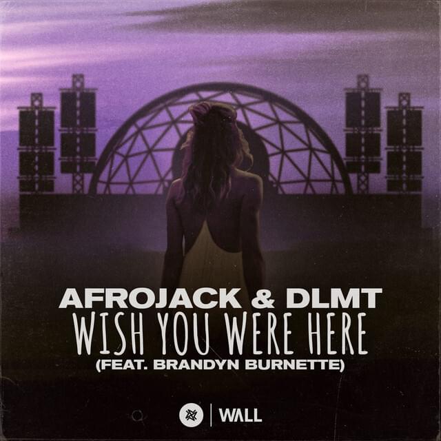 AFROJACK & DLMT ft. featuring Brandyn Burnette Wish You Were Here cover artwork