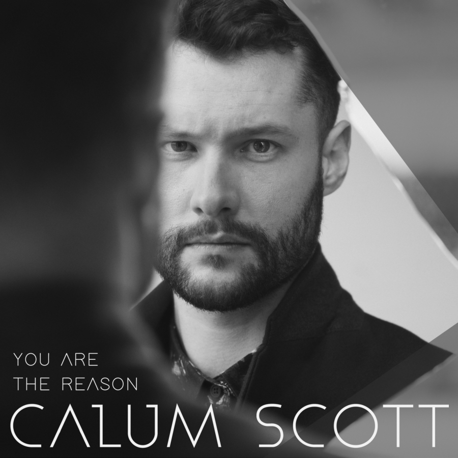 Calum Scott You Are the Reason cover artwork