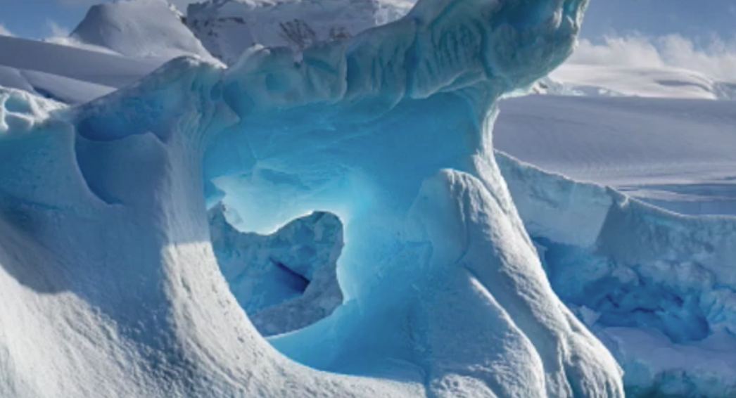Muntjax — Antarctica cover artwork