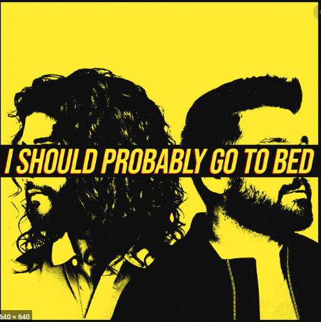 Dan + Shay — I Should Probably Go To Bed cover artwork