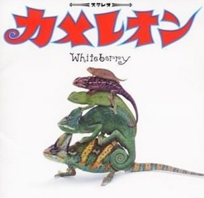 Whiteberry Chameleon cover artwork