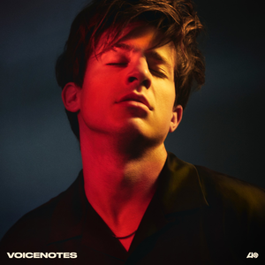 Charlie Puth — Voicenotes cover artwork
