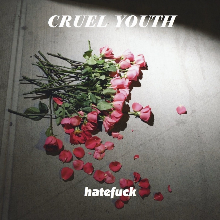 Cruel Youth — Hatefuck cover artwork