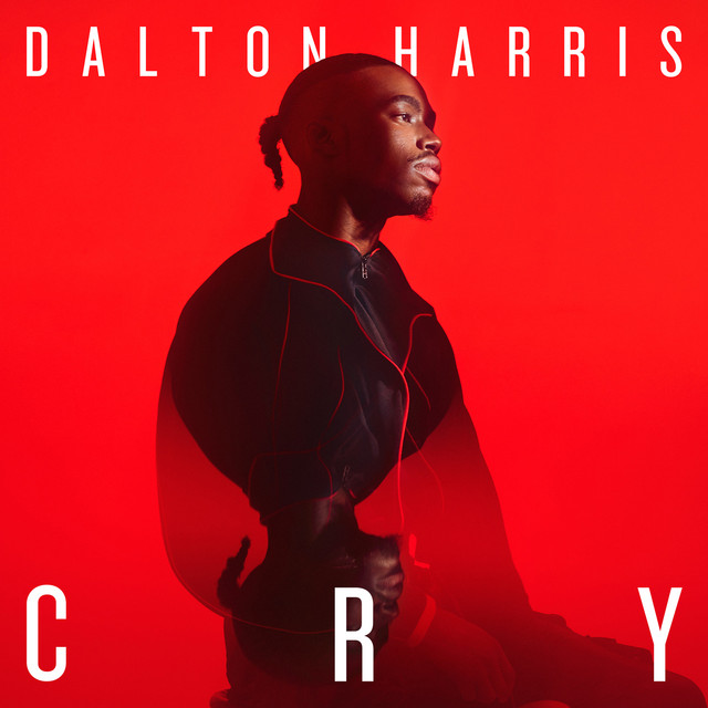 Dalton Harris Cry cover artwork
