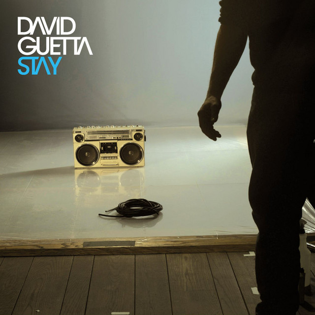 David Guetta featuring Chris Willis — Stay cover artwork