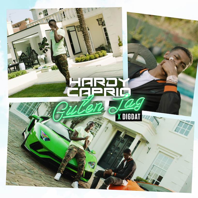 Hardy Caprio & DigDat Guten Tag cover artwork
