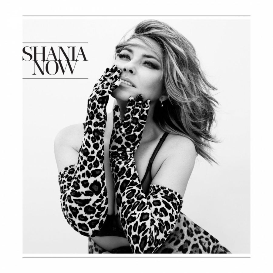 Shania Twain Now cover artwork