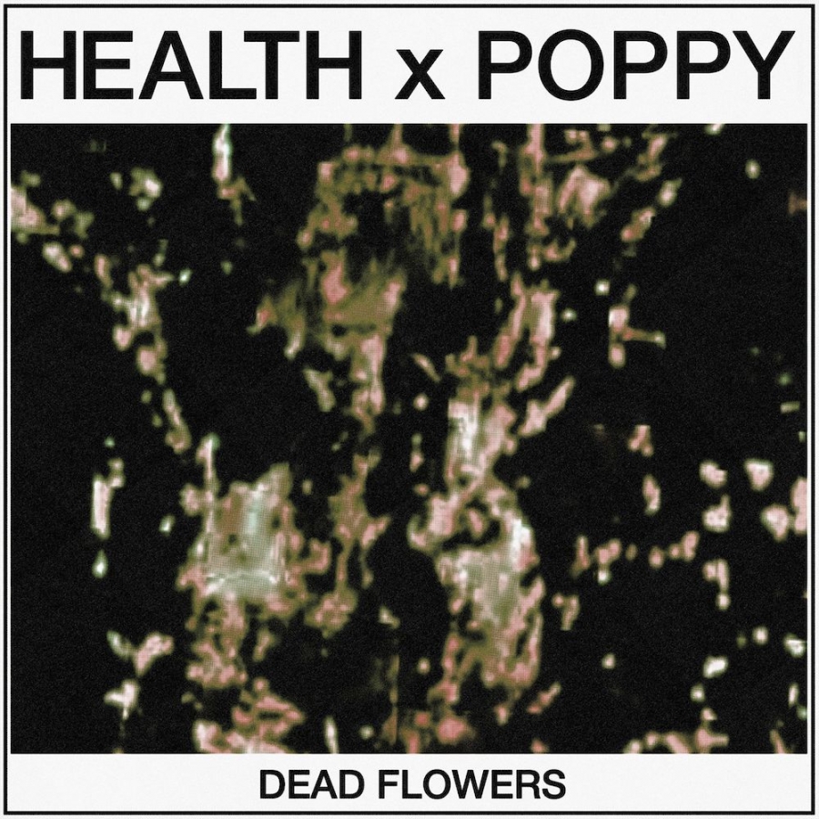 HEALTH & Poppy DEAD FLOWERS cover artwork