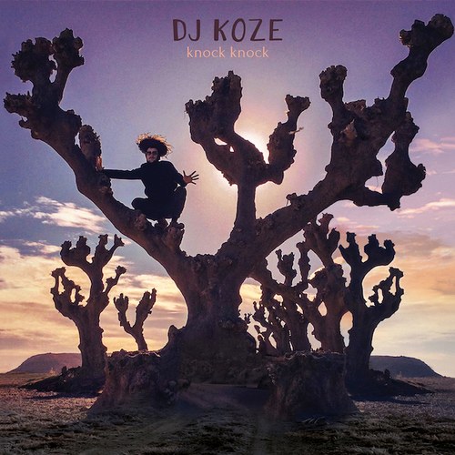 DJ Koze Knock Knock cover artwork