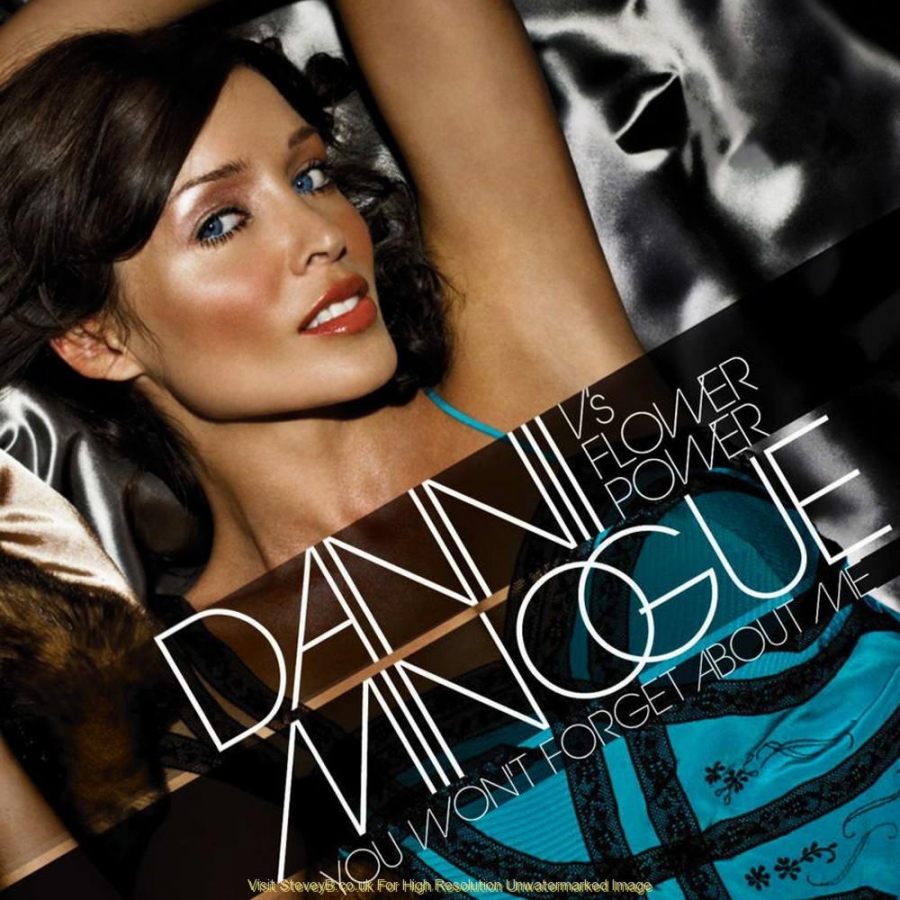 Dannii Minogue & Flower Power — You Won&#039;t Forget About Me cover artwork