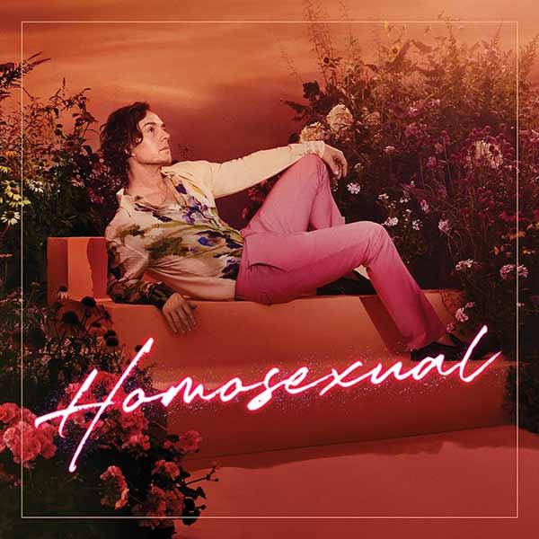 Darren Hayes — Homosexual cover artwork