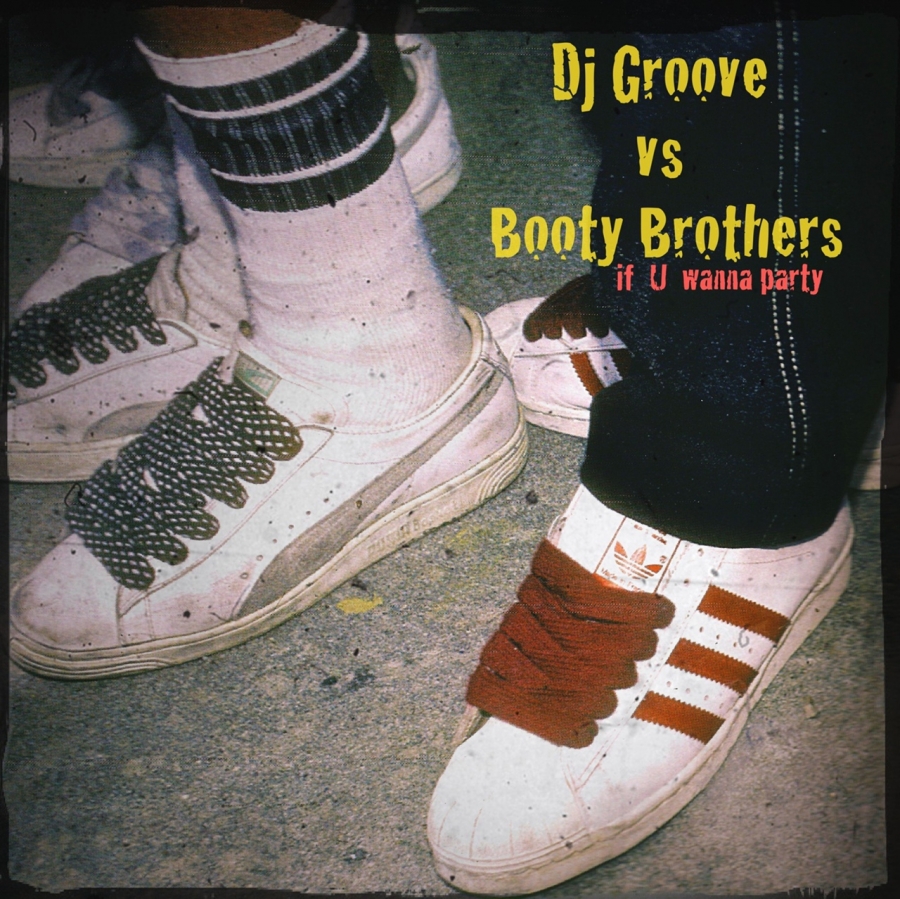 DJ Groove & Booty Brothers — If U Wanna Party cover artwork
