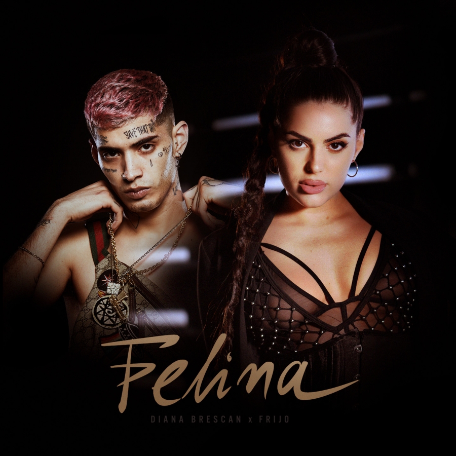 Diana Brescan & Frijo — Felina cover artwork
