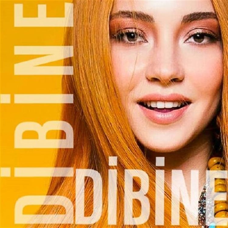 Ece Seçkin Dibine Dibine cover artwork
