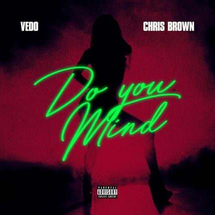 Vedo & Chris Brown — Do You Mind cover artwork