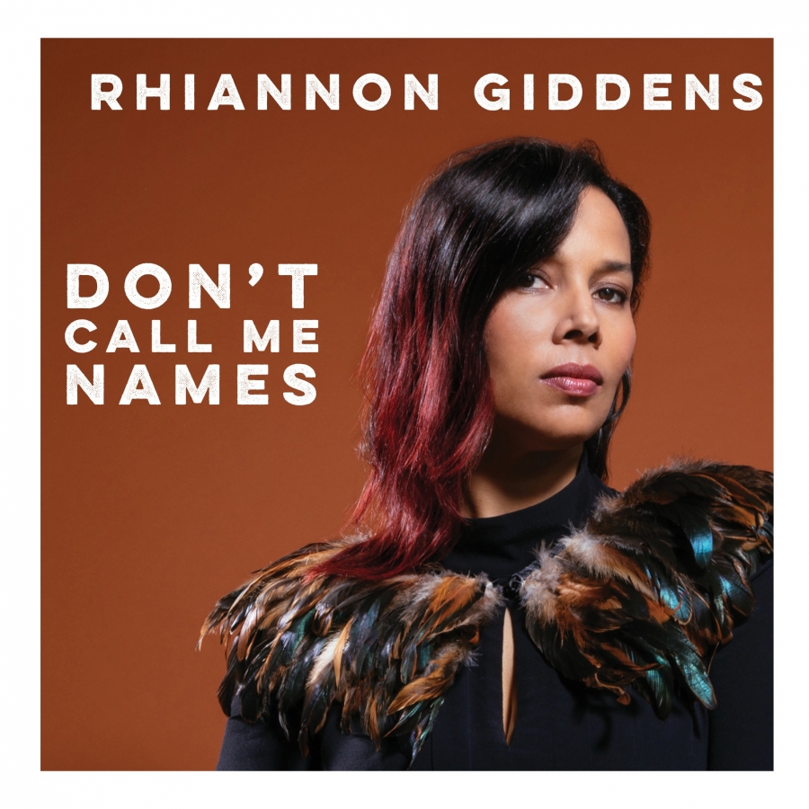 Rhiannon Giddens Don&#039;t Call Me Names cover artwork