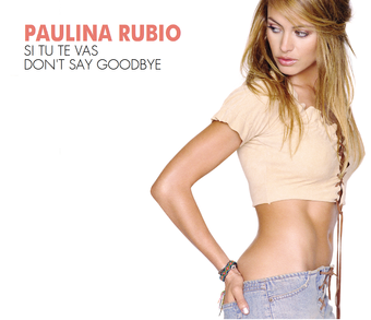 Paulina Rubio Don&#039;t Say Goodbye cover artwork