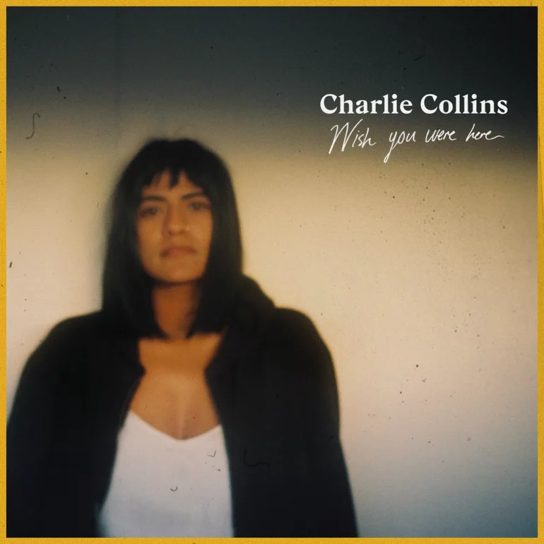 Charlie Collins — Wish You Were Here cover artwork
