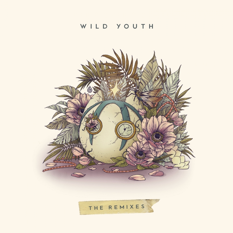 Dabin Wild Youth (The Remixes) cover artwork