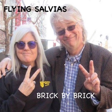 Flying Salvias Brick by Brick cover artwork
