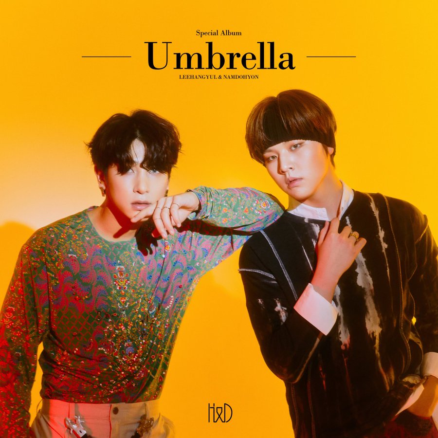 H&amp;D — Umbrella cover artwork