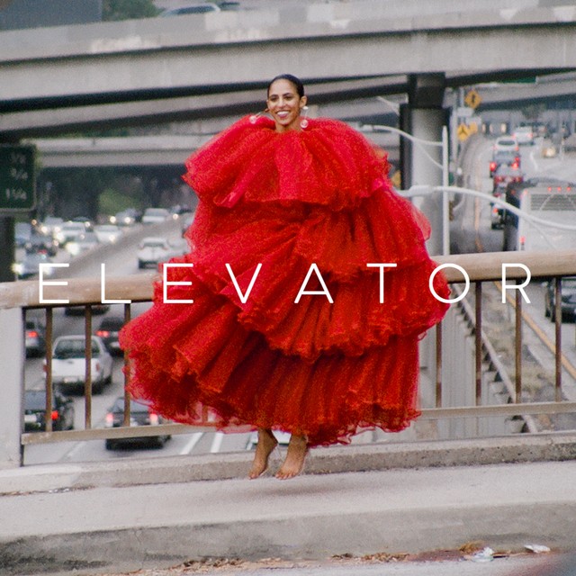 Gavin Turek — Elevator cover artwork