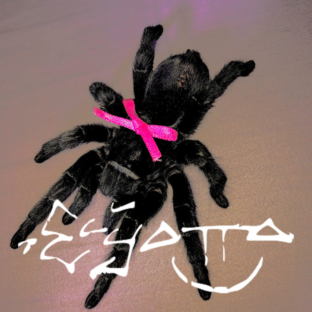 ElyOtto — DAYZEE cover artwork