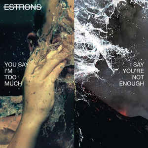Estrons You Say I&#039;m Too Much, I Say You&#039;re Not Enough cover artwork