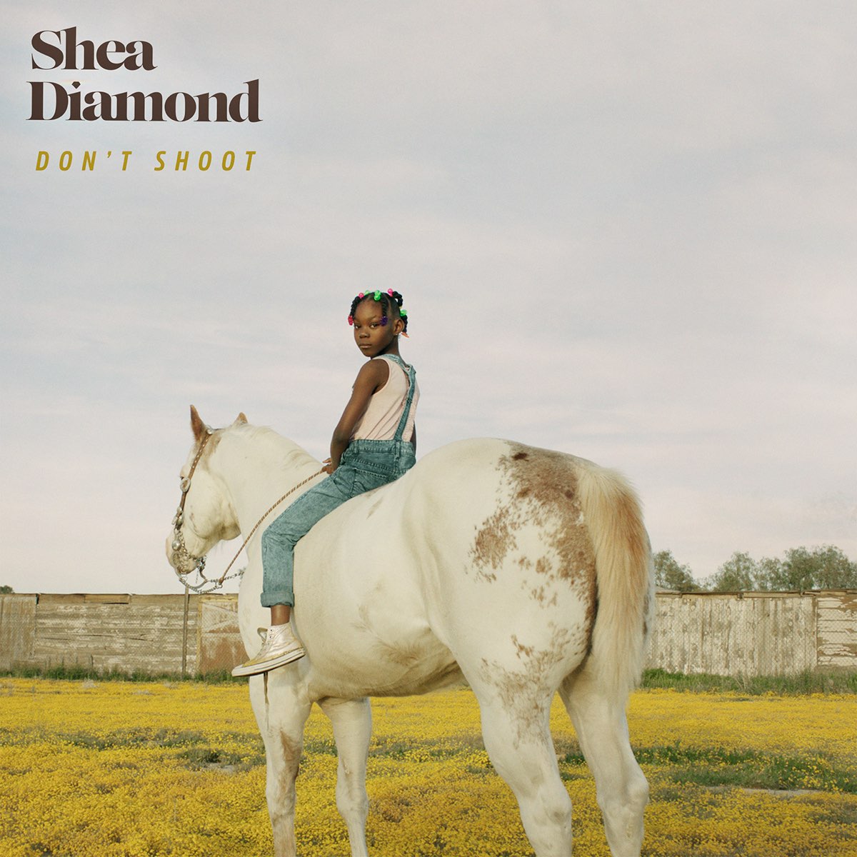 Shea Diamond — Don&#039;t Shoot cover artwork