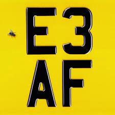 Dizzee Rascal E3 AF cover artwork