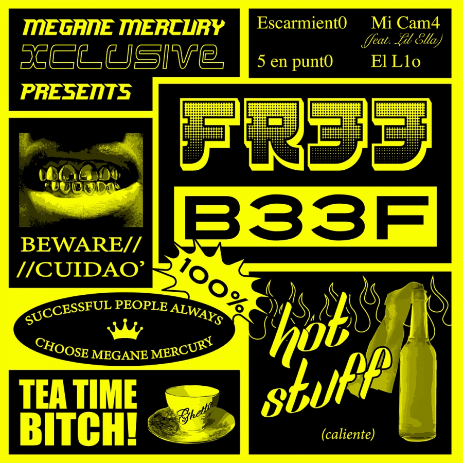 Megane Mercury Fr33 B33f cover artwork