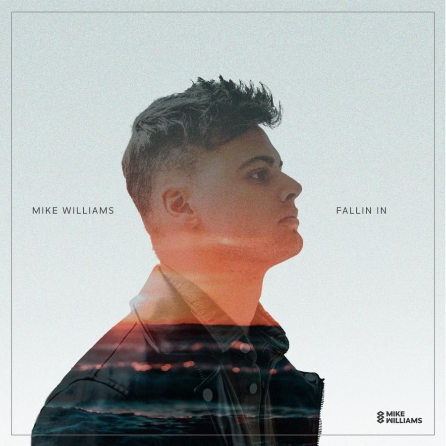 Mike Williams Fallin&#039; In cover artwork