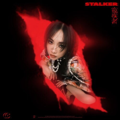 Fei — Stalker 窥探者 cover artwork