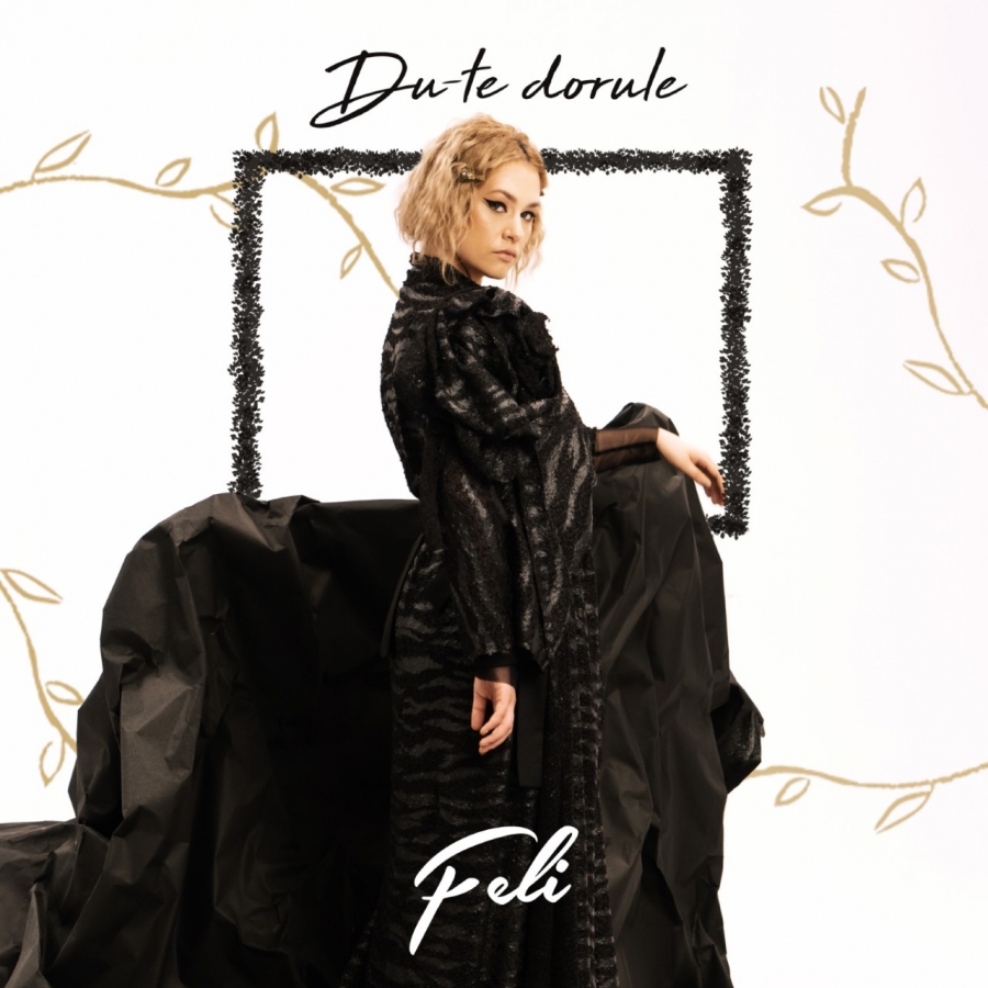Feli Du-te Dorule cover artwork