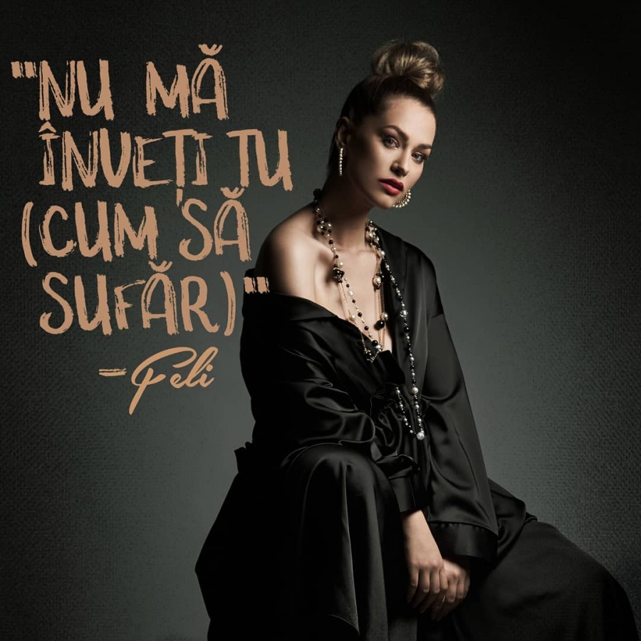 Feli — Nu Mă Inveți Tu (Cum Să Sufar) cover artwork