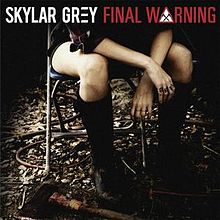 Skylar Grey — Final Warning cover artwork