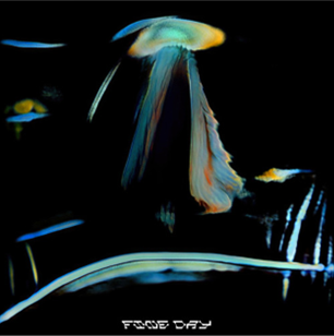 Sub Focus — Fine Day cover artwork